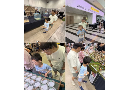 부산 벡스코 - 랩타일페어 행사