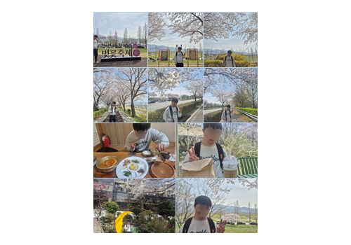 낙동강 30리 벚꽃길과 함께한 봄의 여정